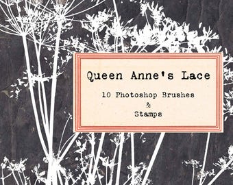 Queen Anne's Lace Photoshop Brushes: Botanical Stamps, Clip Art (Digital Download)