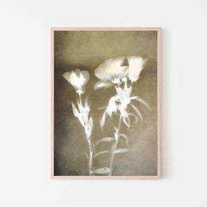 Arte botânica de parede para impressão, impressão de lúmen &quot;silencioso&quot;, fotografia de natureza em flor, download instantâneo estilo vintage de casa de fazenda