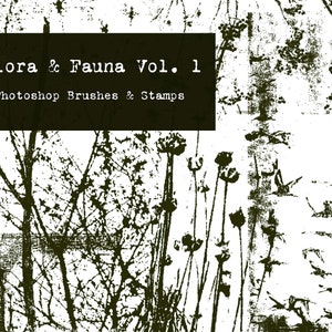 Grunge Flora & Fauna Vol 1 Photoshop Brushes Stamps Botanical Clip Art Texture PNG ABR Junk Journal Floral Foliage Plants Digital