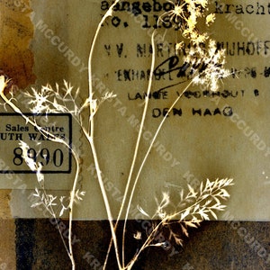 Feuille de Collage numérique imprimable n° 32, Page de Journal indésirable, papier Scrapbook, téléchargement immédiat, typographie, Collage Masterboard, Art botanique