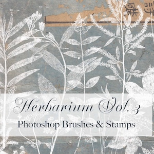 Herbier, vol. 3, tampons Photoshop Brushes Botanical Clip Art Texture PNG ABR, Junk Journal, Leaves & Flowers, Tampons numériques