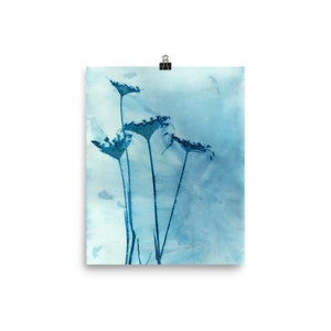 Cyanotype Print Botanical Wall Art, Blue Queen Anne Flower Bouquet, Wet Cyanotype Fine Art Print image 6