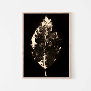 Leaf Print Instant Download Modern Botanical Alternative Photography, Printable Art to Frame