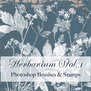 Herbier vol. 1, Photoshop Brushes Stamps Botanical Clip Art Texture PNG ABR, Junk Journal, Leaves & Flowers, Digital Stamps