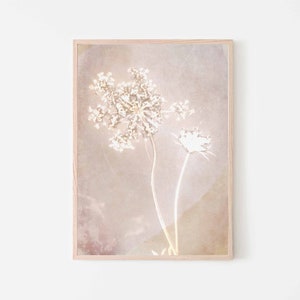 Arte botânica de parede para impressão, impressão de lúmen rosa, fotografia de natureza em flor, presente para ela, download instantâneo Farmhouse Vintage