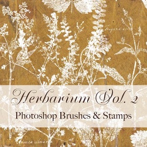 Herbier, vol. 2, tampons Photoshop Brushes Botanical Clip Art Texture PNG ABR, Junk Journal, Leaves & Flowers, Tampons numériques
