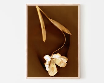 Printable Botanical Wall Art, Alternative Photography, Lumen Print, Instant Download Flower Floral Print, Southwestern Style
