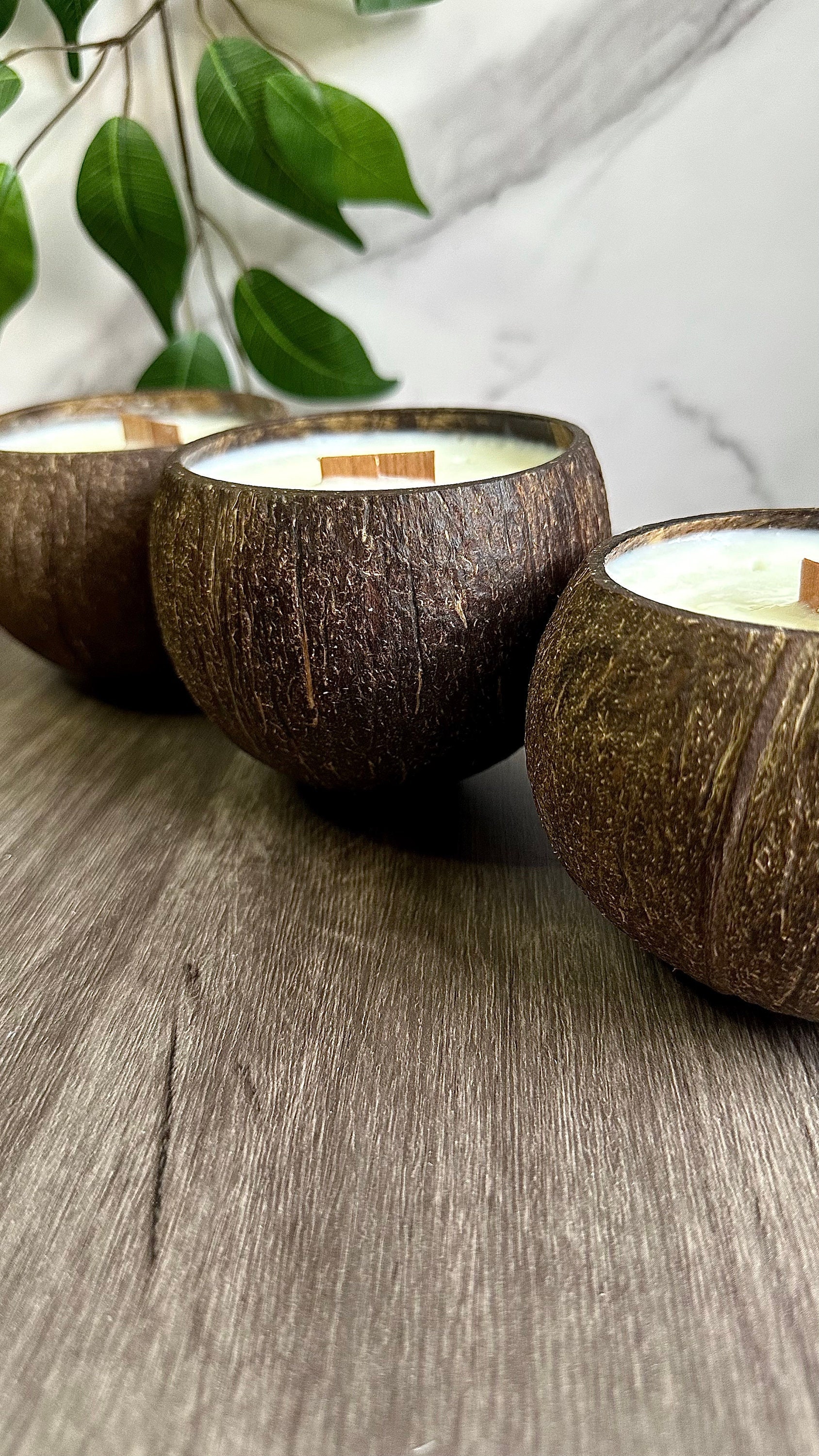Crackling Wood Wick Candle Handcrafted with Natural Coconut Wax and  Essential Oils (Palo Santo, Standard 8 oz)