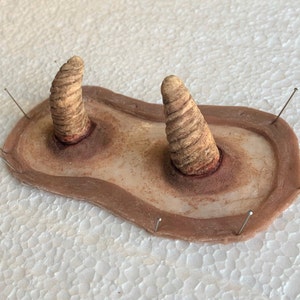 Small Devil Horns Silicone Prosthetic / SFX Makeup Costume Wound Monster