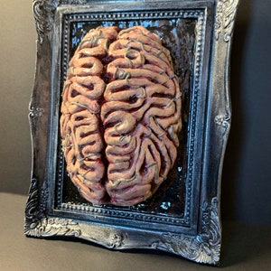 Anatomical Brain Frame/ Goth Home Horror Decoration