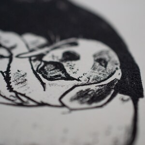 May include: A monochrome illustration of a dog's face, with a focus on the eyes and ears. The artwork is detailed, with visible shading and texture, and is set against a white background.