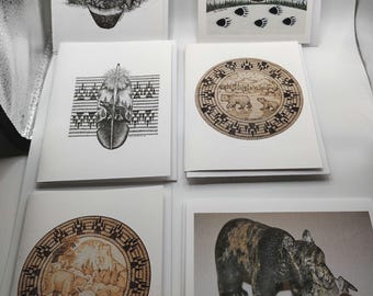 6 Assorted Bear Note Cards