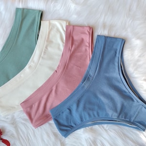 Op de afbeelding: Vier naadloze slips in pastelkleuren: zeegroen, gebroken wit, poederroze en blauw. Het ondergoed ligt op een zacht, wit oppervlak met gedroogde bloemen.