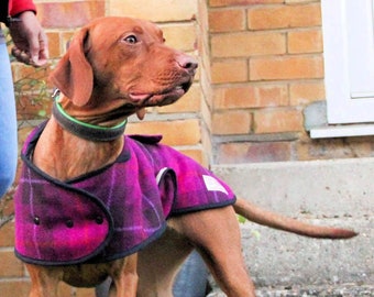 Fuchsia Check Harris Tweed dog coat. Warm and stylish winter coat.