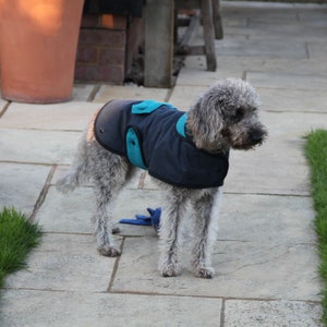 Navy Waterproof coat for dogs. In navy waxed cotton and Harris Tweed detailing