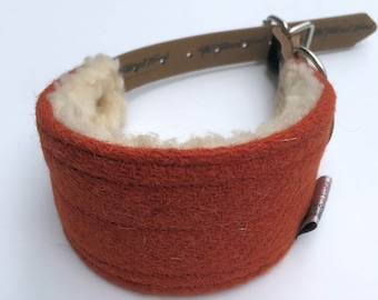 May include: A rust-colored dog collar with a brown leather strap and a white fleece lining. The collar has a metal buckle and a small tag that says "Beyond the Bird".