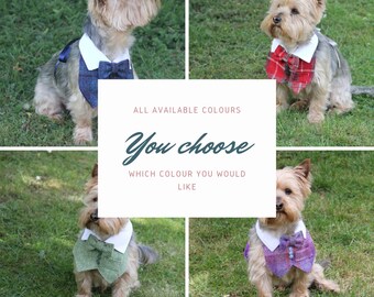 Harris Tweed waistcoat for dogs