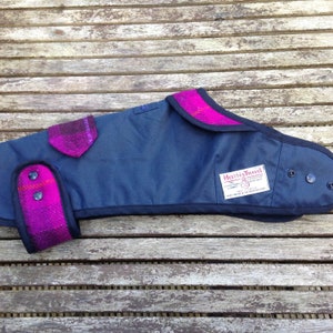 Navy Waterproof coat for dogs. In navy waxed cotton and Harris Tweed detailing