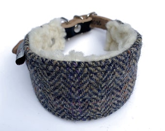 Harris Tweed Hound collar. for whippets, greyhounds and other sight hound dogs