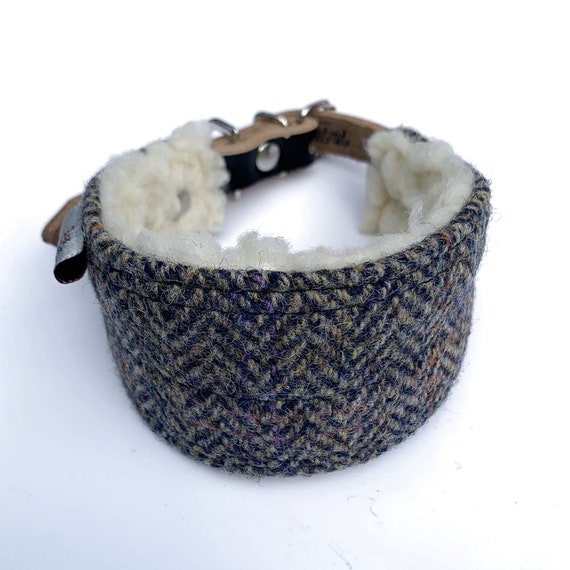 Harris Tweed Hound collar. for whippets, greyhounds and other sight hound dogs