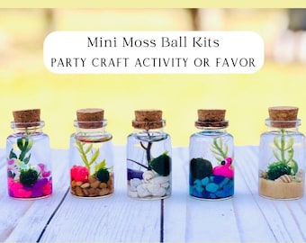 Kids Birthday Party Favor, kids craft kit, Mini Moss Ball Kits, Mermaid Birthday Party, Unicorn Party, Dinosaur Party, Bulk party favors