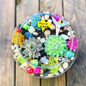 Fairy Garden Kit, Fairy Plant Kit, Fairy Terrarium, Fairy Gift, Fairy lover Gift, Fairy DIY Craft Kit, Succulent Fairy Garden