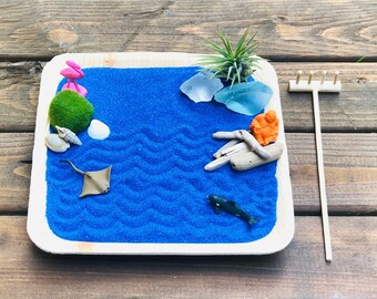 Ocean Zen Garden Kit: Air Plant, Blue Sand, Beach Decor