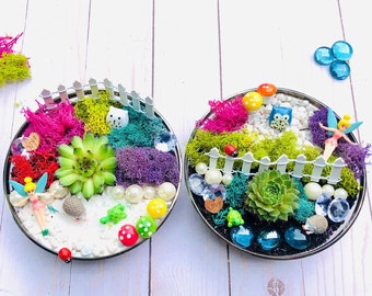 Fairy Garden Kit - Kids Craft Box - Garden Kit, Kids Fairy Garden, Kids Gift, DIY Fairy, Indoor Fairy Garden, Hedgehog Gift