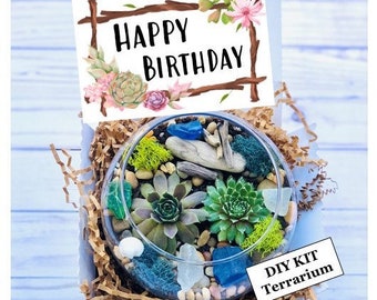 Happy Birthday Gift Box, Succulent gift box, Care Package, Friend Gift Box, Personalized gift box ideas, Gift for Mom, Terrarium Kit Gift