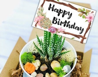 Happy Birthday Gift set - Plant Lover Birthday Gift, Succulent gift box - Friend Gift Box - birthday gift for friend - Birthday Care Package