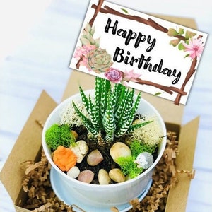 Happy Birthday Gift set Plant Lover Birthday Gift, Succulent gift box Friend Gift Box birthday gift for friend Birthday Care Package image 1