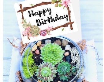 Happy Birthday Gift set - Succulent gift box - Friend Gift Box - Cactus Spa Gift - birthday gift for friend - Birthday Care Package