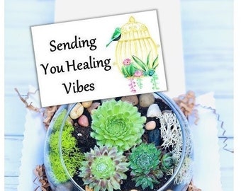 Get Well Plant Gift, Care Package, Feel Better Soon, Encouragement, Cancer Sucks, Surgery Gift