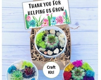 Bulk & Corporate Succulent Gift Box, Employee Appreciation Gifts, Corporate Gifting, Bulk Gift Boxes Shipping to Separate Addresses