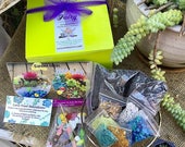 Fairy Garden Kit, Succulent Kit, Kids Fairy Garden, Fairy Garden Set, Terrarium Kit, Fairy Kit, Fairy Garden Gift, Fairy Miniature Supplies