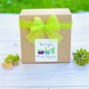 May include: A brown box with a green bow and a white label that says "Party'n With Plants".
