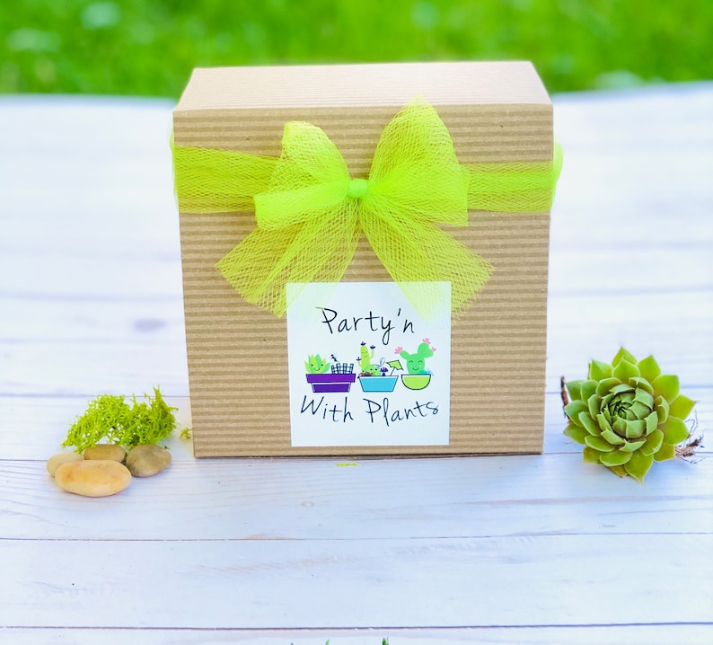 May include: A brown box with a green bow and a white label that says "Party'n With Plants".