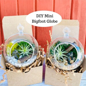 Bigfoot Air Plant Terrarium Kit: Mini Sasquatch Hanging Globe