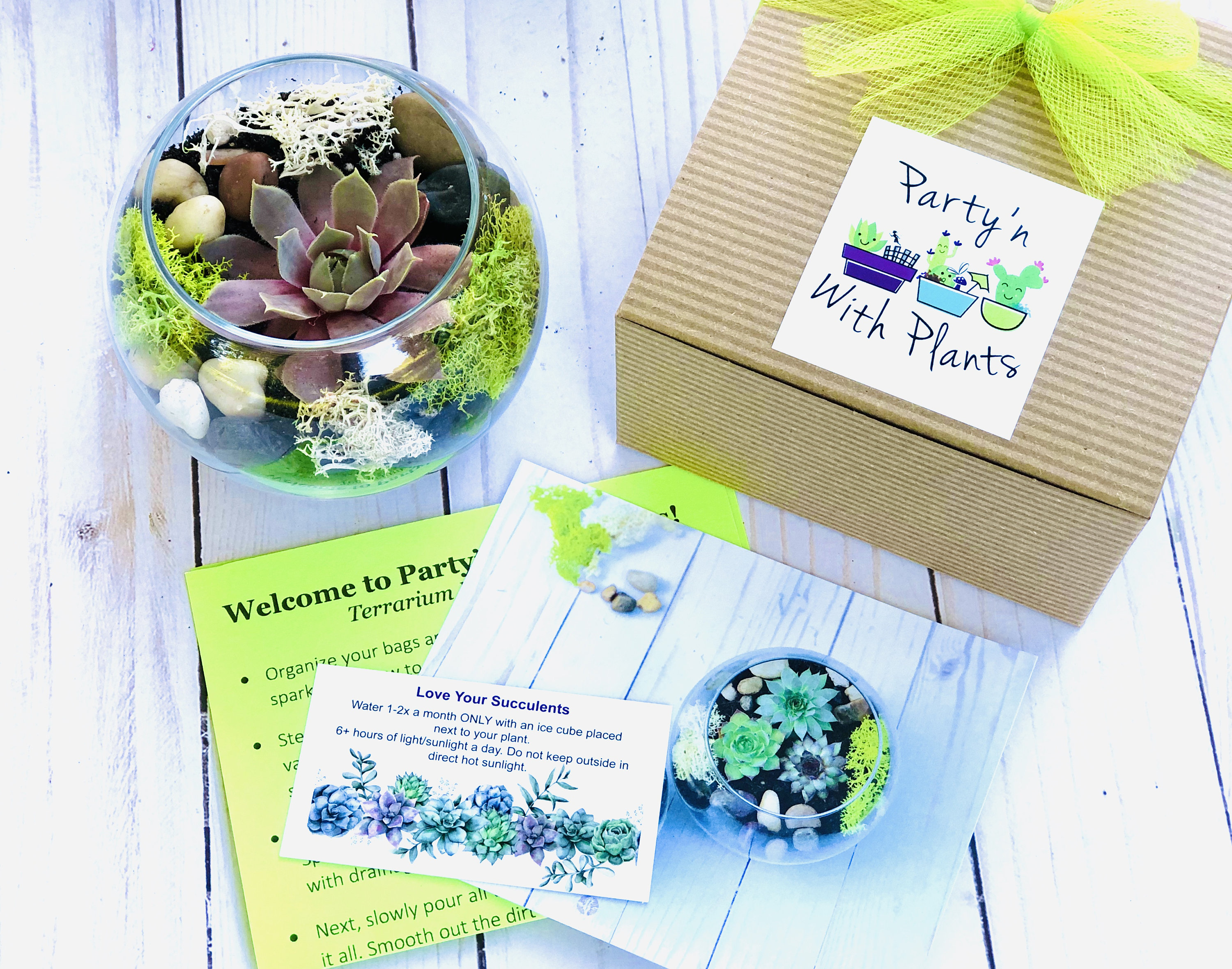 Adult Craft Kit DIY Craft Adult Craft Box Care Package Craft Gift Idea DIY Kit Personalized Gift Quarantine Adult Art Kit Etsy