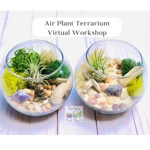 May include: Two glass terrariums filled with sand, stones, moss, driftwood, and air plants. A small golden statue sits in one terrarium. The terrariums are on a light wood surface. The text "Air Plant Terrarium Virtual Workshop" is above the terrariums. The text "Party'n With Plants" is below the terrariums.