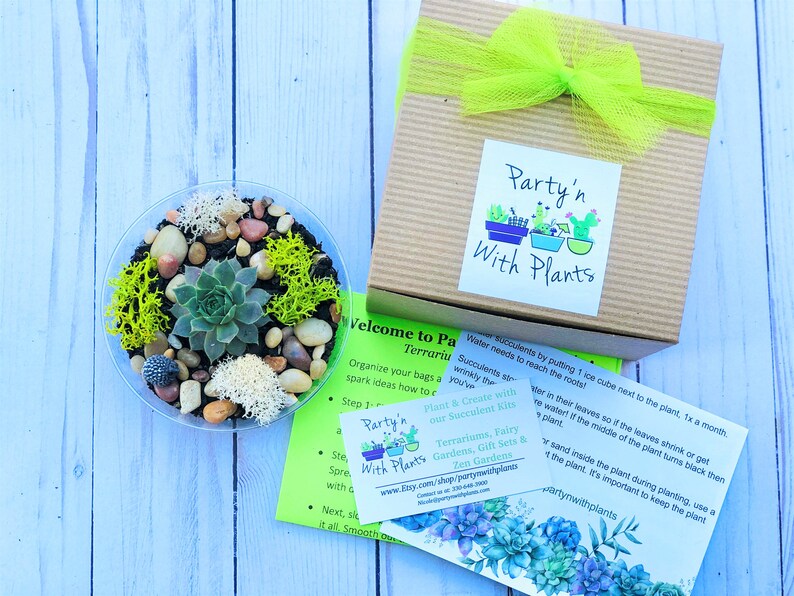 Plant Party Favors Baby Shower Wedding Favors Corporate Etsy