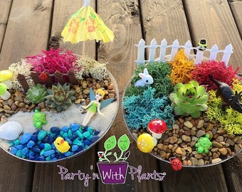Succulent Fairy Garden Kit: DIY Terrarium with Miniatures