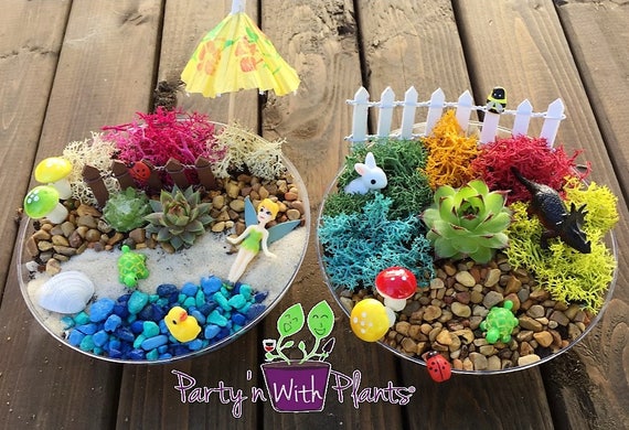 Water Terrarium Kit, DIY Craft Kit, Gifts