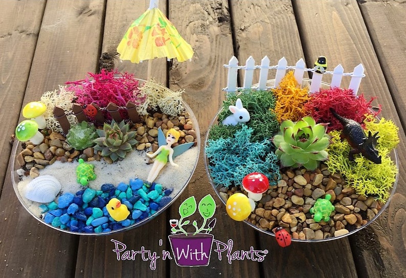 Fairy Garden Kit, Succulent Fairy Garden, Gnome Garden Kit, Fairy Garden Birthday Party, Terrarium Kit, DIY Fairy Kit, Fairy Garden Gift, 