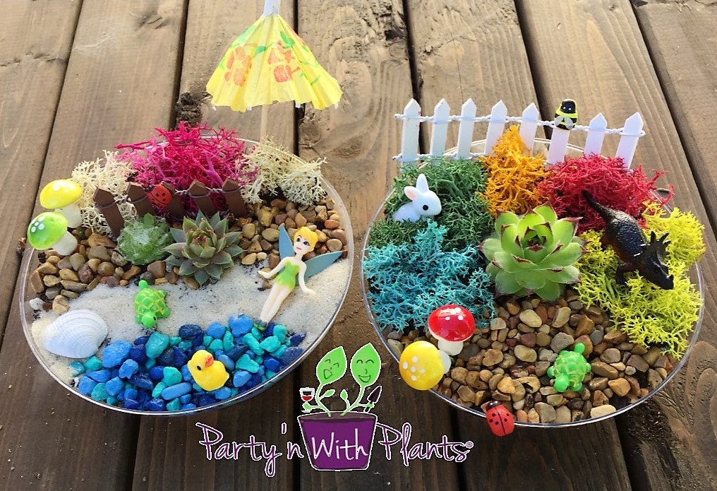 Fairy Garden Kit, Succulent Fairy Garden, Gnome Garden Kit, Fairy Gar…