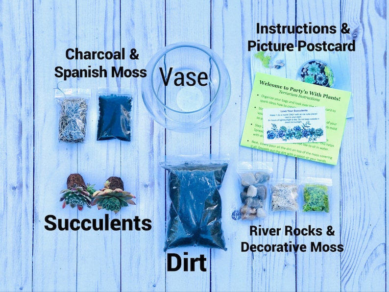 May include: A terrarium kit with all the materials needed to create a succulent terrarium. The kit includes a glass vase, dirt, river rocks, decorative moss, charcoal, Spanish moss, and succulents.