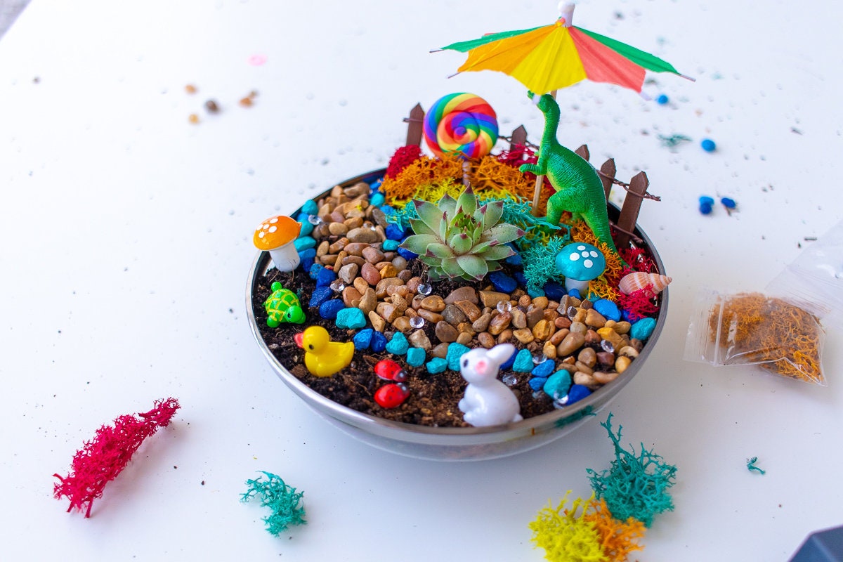 Dinosaur Planter, Dinosaur Lover Gift, Dinosaur Fairy garden kit, Suc…