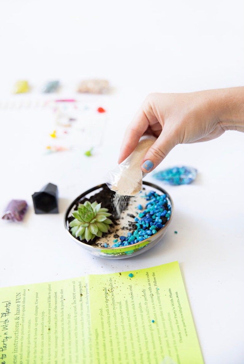 May include: A person is adding sand to a small glass terrarium with a succulent plant, blue and white stones, and brown soil. The terrarium is on a white surface. The instructions for the terrarium are visible in the background.