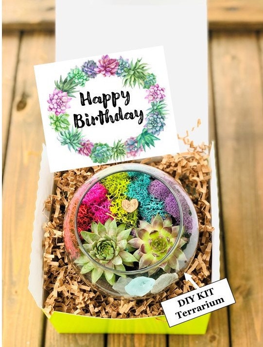 Birthday Gifts for Her Hygge Gift Basket With Blanket, Succulent, Socks,  Candle Birthday Box, Gift for Women, Happy Birthday Gift Box 