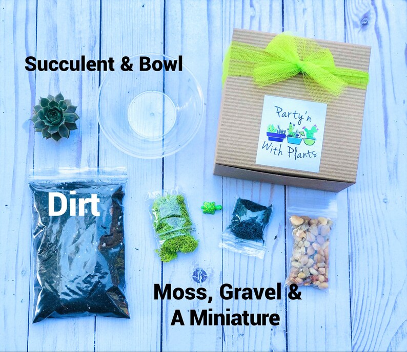 Plant Party Favors Baby Shower Wedding Favors Corporate Etsy